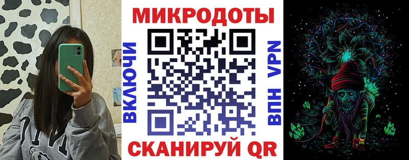 Псилоцибиновые грибы Psilocybine cubensis  Правдинск 